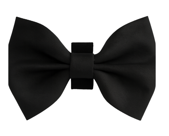 Classic Black Pet Bow Tie