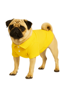Yellow Polo Dog Shirt