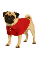 Red Polo Dog Shirt
