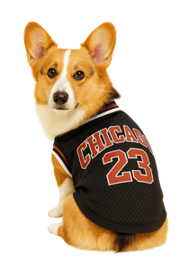 Chicago 23 Basketball Pet Jersey - Black