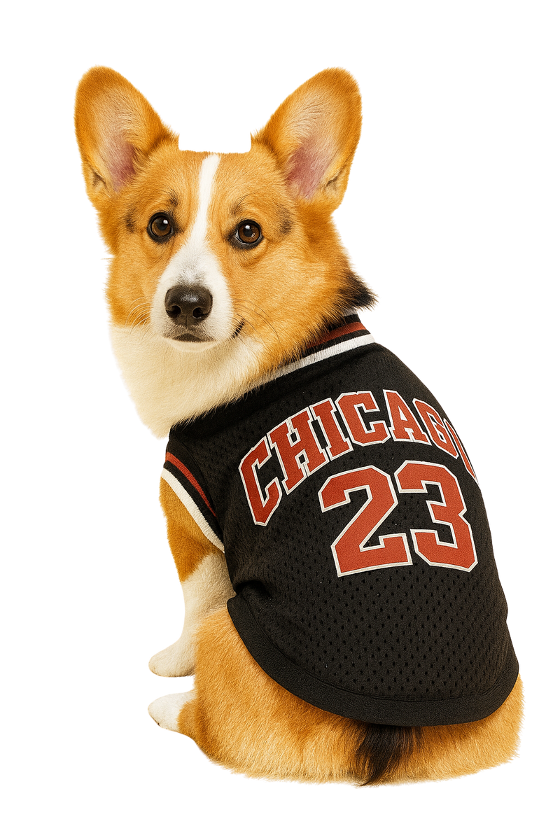 Chicago 23 Basketball Pet Jersey - Black