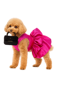 Chewnel Plush Dog Toy – Luxury Designer Handbag Style