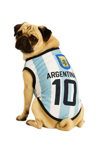 Argentina National Team Pet Jersey – #10
