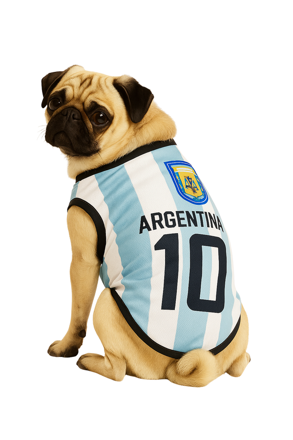 Argentina National Team Pet Jersey – #10
