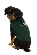 Cozy Green Fleece Dog Jacket with Built-in D-Ring