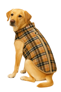 Plaid Dog Vest with Zipper and Harness Ring