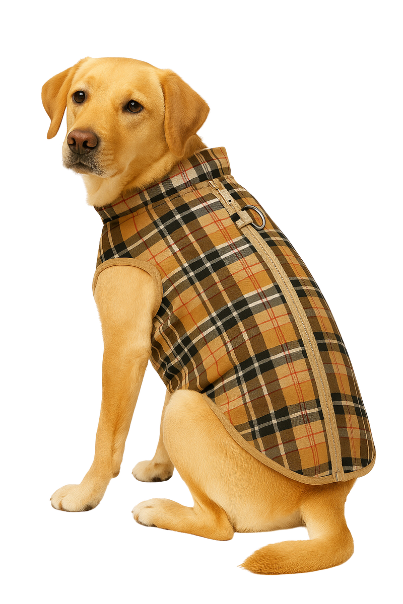 Plaid Dog Vest with Zipper and Harness Ring