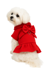 Elegant Red Bow Dress with Leash for Dogs