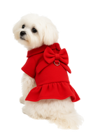 Elegant Red Bow Dress with Leash for Dogs