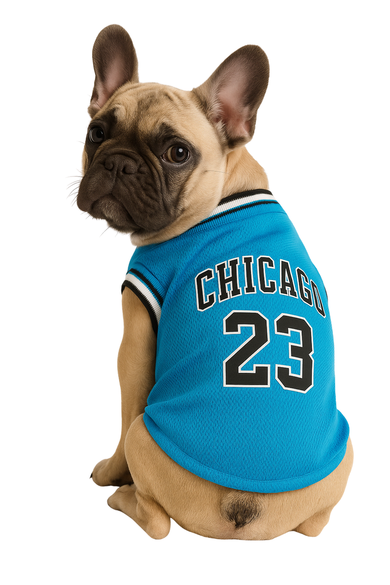 Chicago 23 Basketball Pet Jersey - Blue