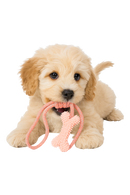 Interactive Rope & Bone Chew Toy for Dogs