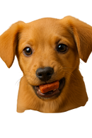 Canine Carry Outs® – Beef Flavor Dog Snacks (4.5 oz / 128 g)