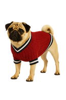 Knitted Red Dog Sweater with Striped Trim