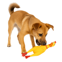 Rubber Chicken Dog Toy