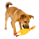 Rubber Chicken Dog Toy