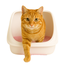 Fresh Step Litter Box Deodorizing Crystals – Sweet Blossom (15 oz / 425 g)