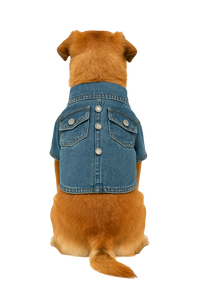 Denim Dog Jacket with Buttons
