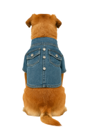 Denim Dog Jacket with Buttons