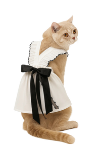 Elegant White Dress with Black Ribbon