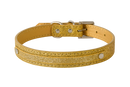 Glitter Gold Dog Collar