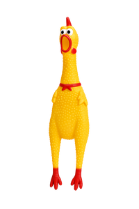 Rubber Chicken Dog Toy