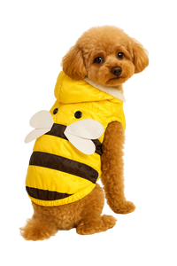 Bee Cozy Winter Jacket – Bumble Style