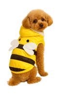 Bee Cozy Winter Jacket – Bumble Style