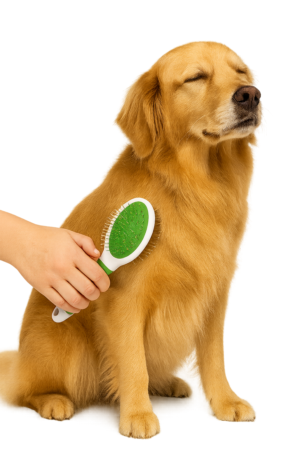 Wahl Large Double-Sided Pet Brush