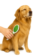 Wahl Large Double-Sided Pet Brush