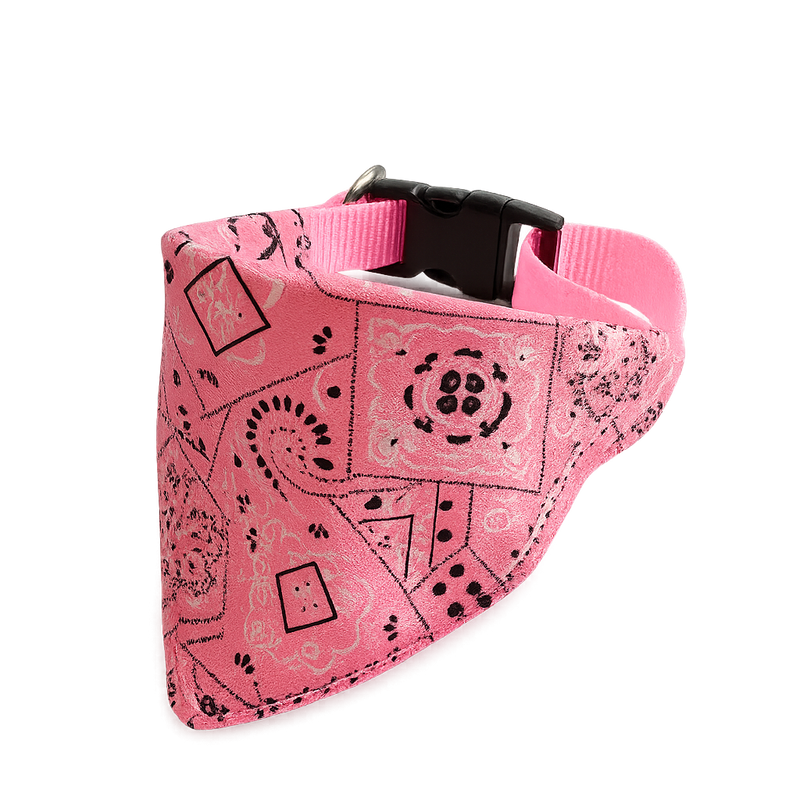 Pink Bandana Dog Collar