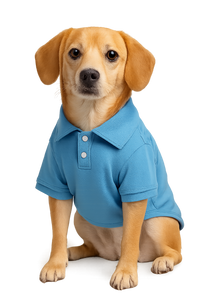 Blue Polo Dog Shirt