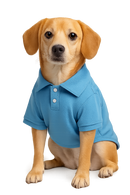 Blue Polo Dog Shirt