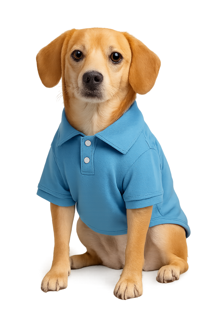 Blue Polo Dog Shirt