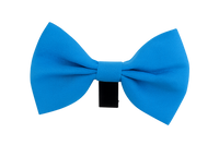 Royal Blue Pet Bow Tie