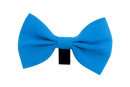 Royal Blue Pet Bow Tie