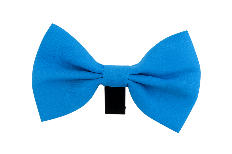 Royal Blue Pet Bow Tie