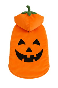 Pumpkin Halloween Dog Costume