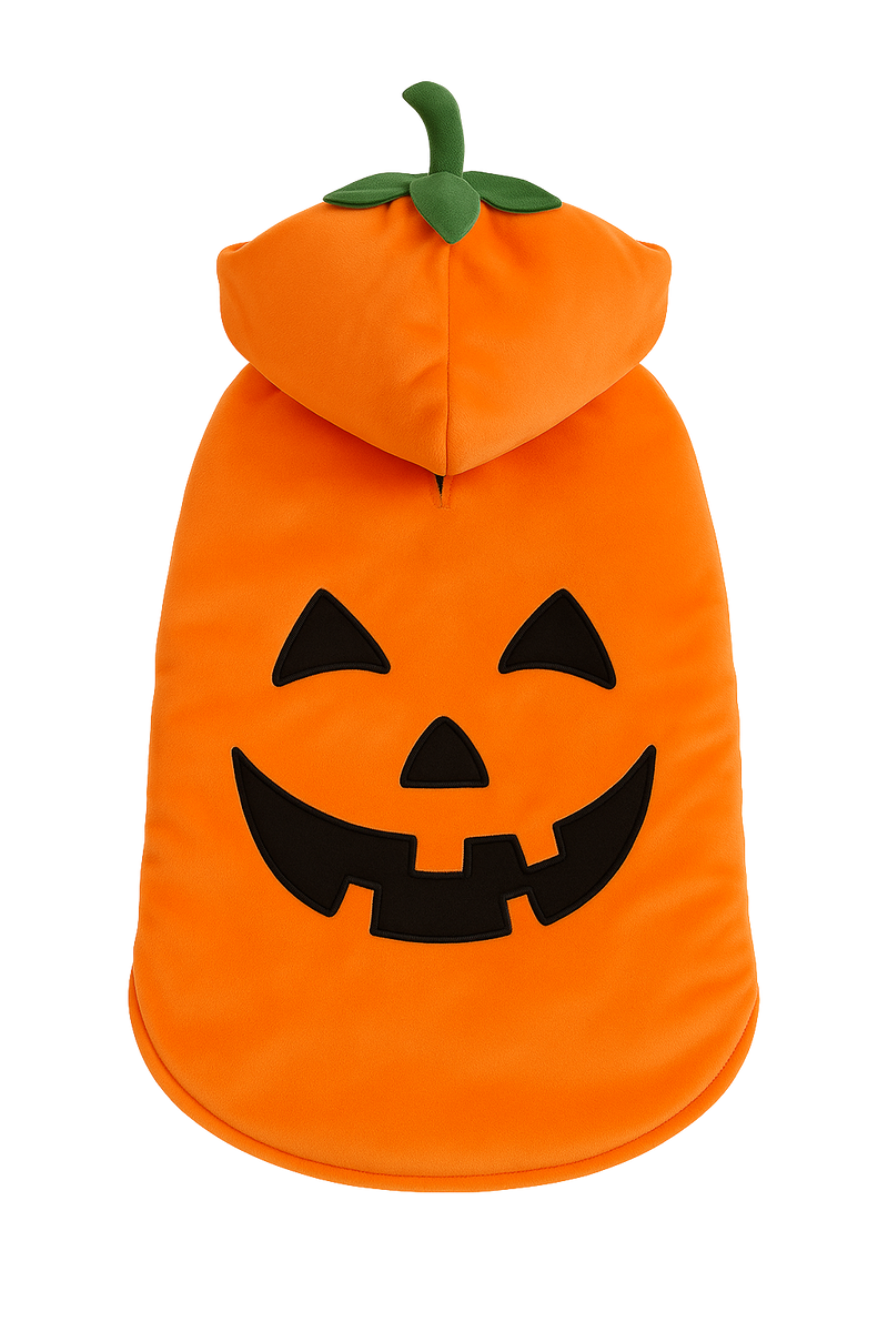 Pumpkin Halloween Dog Costume