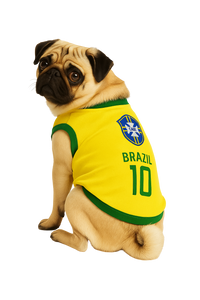 Brazil National Team Pet Jersey – #10