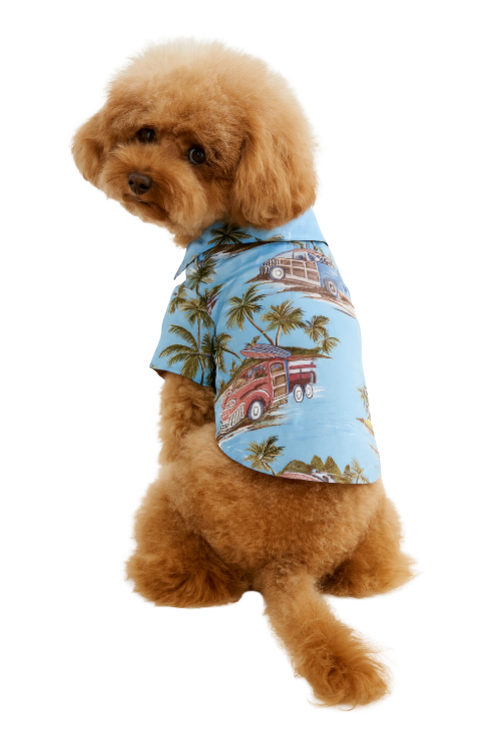 Hawaiian Style Dog Shirt – Beach Vibes