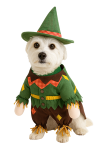 Scarecrow Dog Costume with Hat