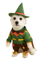 Scarecrow Dog Costume with Hat