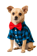 Blue Plaid Dog Shirt with Red Bow Tie