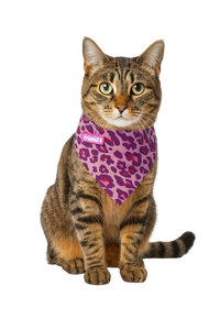 Pink/Purple Leopard Print Pet Bandana