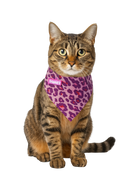 Pink/Purple Leopard Print Pet Bandana