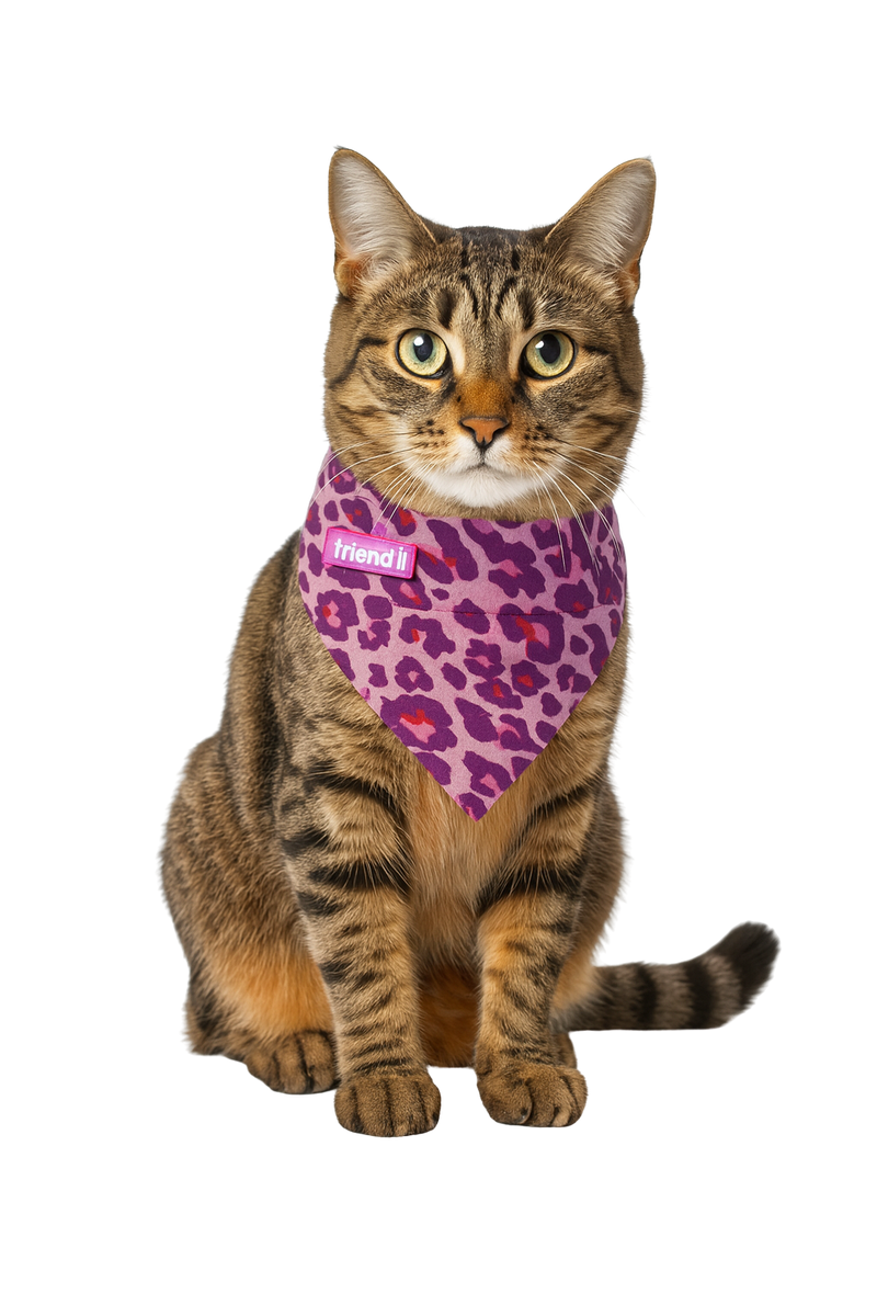 Pink/Purple Leopard Print Pet Bandana