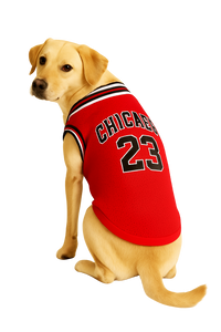 Chicago 23 Basketball Pet Jersey - Red