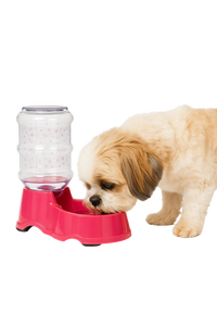 Gravity Pet Water Dispenser – 32oz Capacity