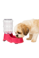 Gravity Pet Water Dispenser – 32oz Capacity