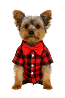 Red Plaid Dog Shirt with Red Bow Tie
